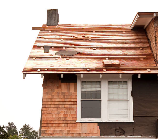 Best Storm Damage Siding Repair  in Falfurrias, TX